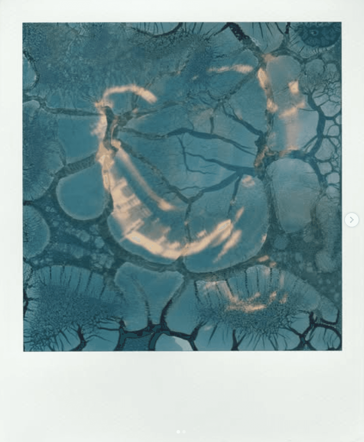 Polaroid