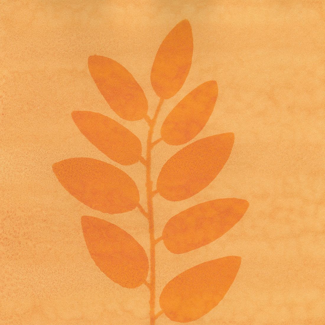 SheaRoberto_Sarah_Anthotype_01-81771aa4-1500.jpg